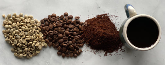 Costa Rica Adventure with Café Imports