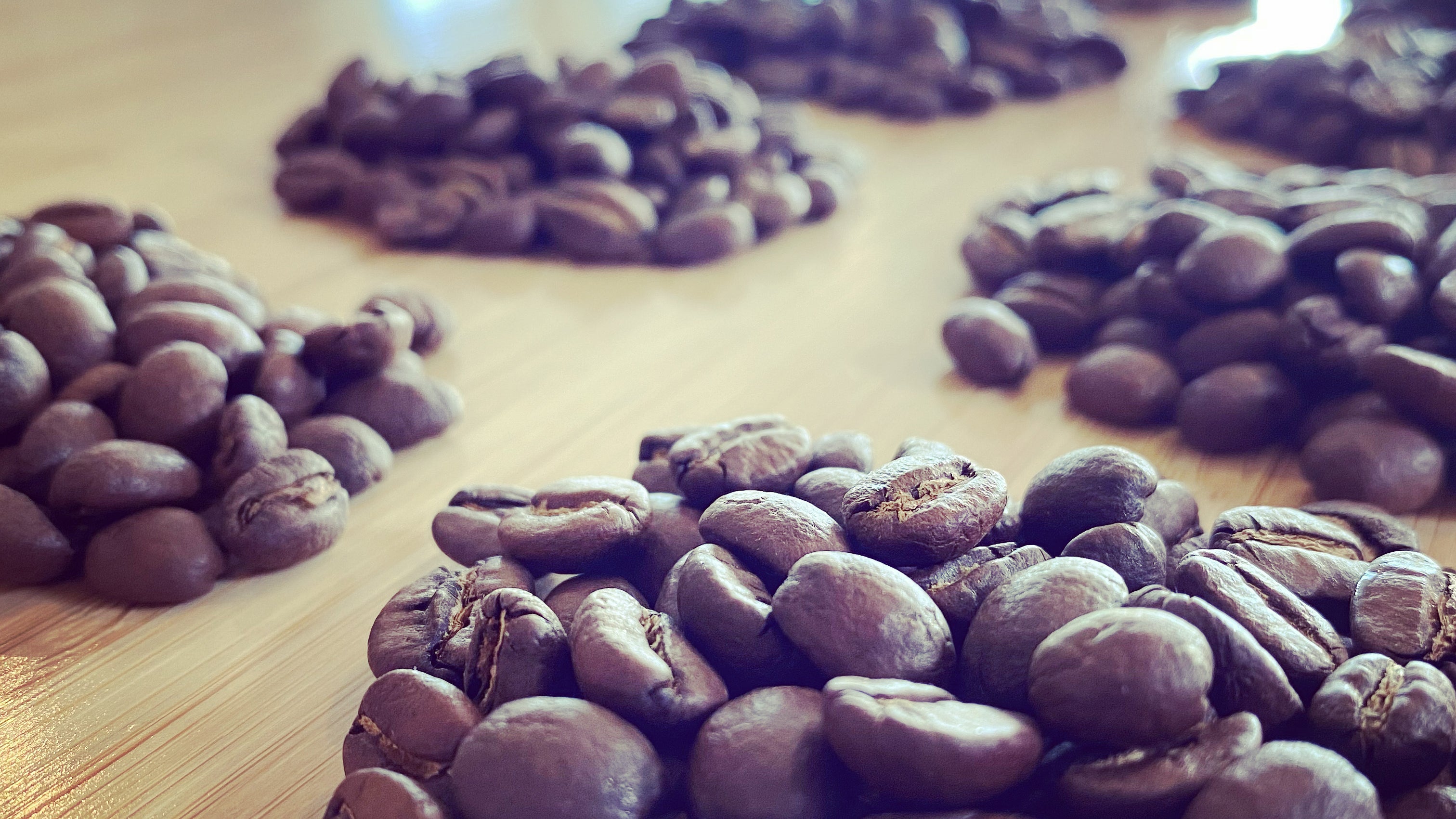 Super Groove - Central & South American Origin Coffee - Chocalaty, Low Acid  – Rare Breed Coffee
