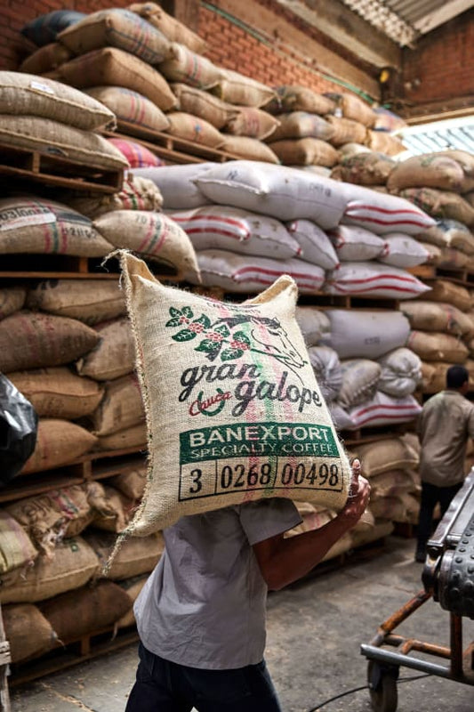 Colombia - Excelso Gran Galope - Huila