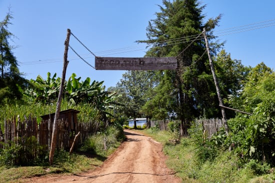 Ethiopia - Tega & Tula - Limu