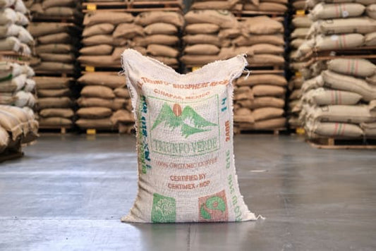 Mexico - Comon Yaj Noptic Cooperative - FTO WP