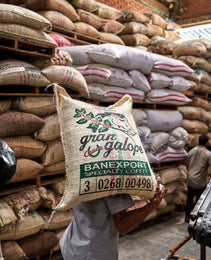 Colombia - Excelso Gran Galope - Huila