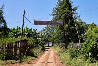 Ethiopia - Tega & Tula - Limu