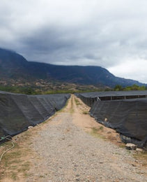 Mexico - CESMACH Cooperative - FTO WP