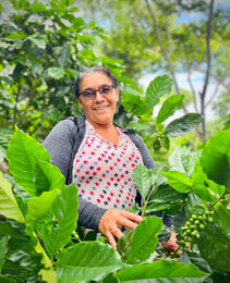 Nicaragua WP - Finca Los Positos - Jinotega
