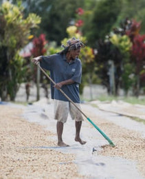 Papua New Guinea - Kindeng Mill