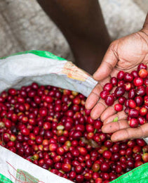 Papua New Guinea - Kindeng Mill