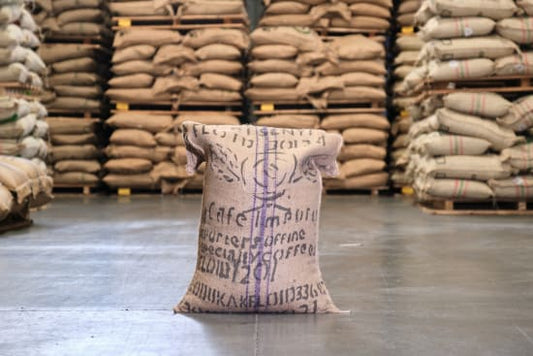 Rwanda - Kirorero Station - Buhoro - FTO Microlot