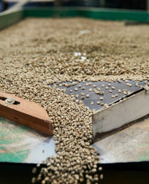 Mexico - CESMACH Cooperative - FTO WP