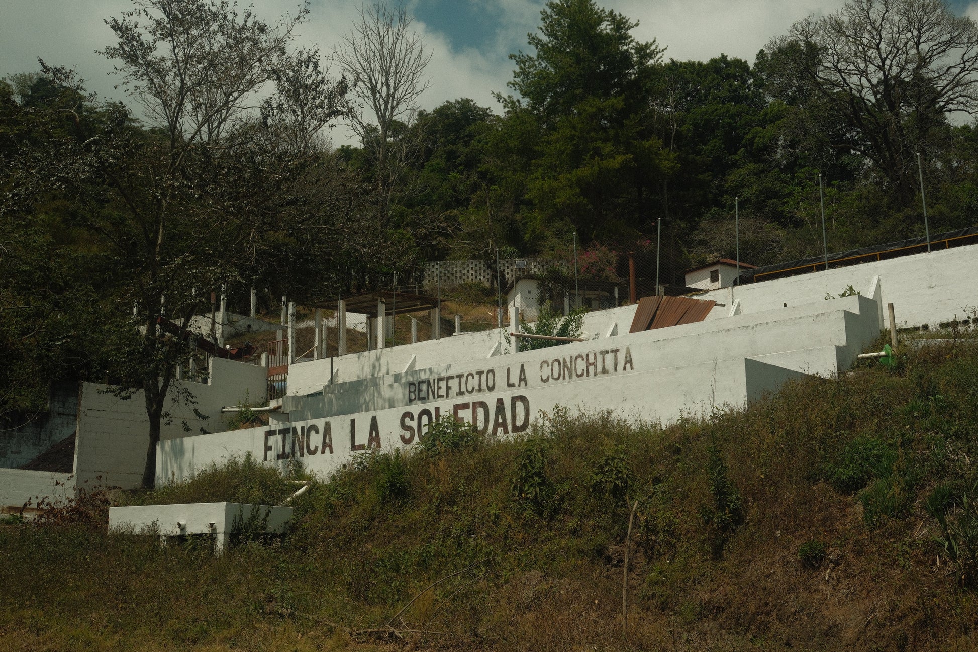 Guatemala - Finca La Soledad