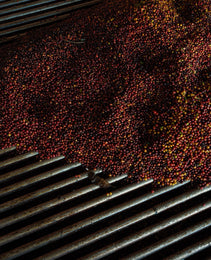 Guatemala - Finca La Soledad