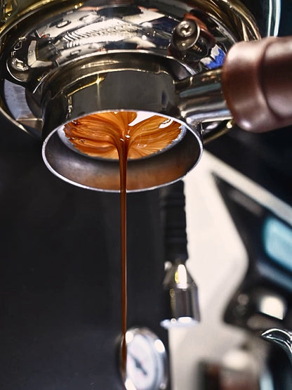 WENDOUGEE Data S Espresso Machine (120V) (Reservoir/Direct Plumb)