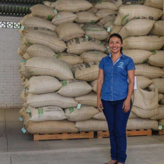 Mexico - CESMACH Cooperative - FTO WP
