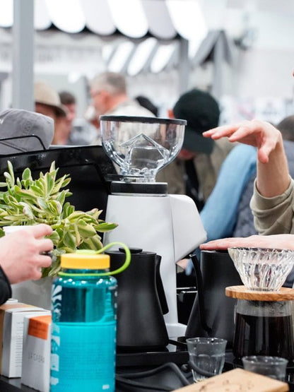 FIORENZATO AllGround Sense Coffee Grinder (120V)