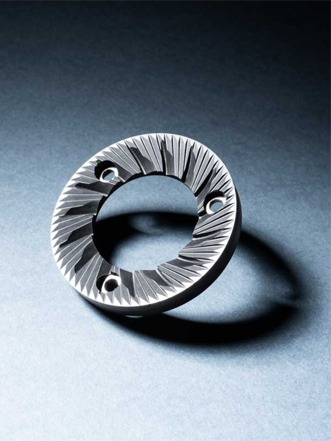 FIORENZATO AllGround Sense Coffee Grinder (120V)