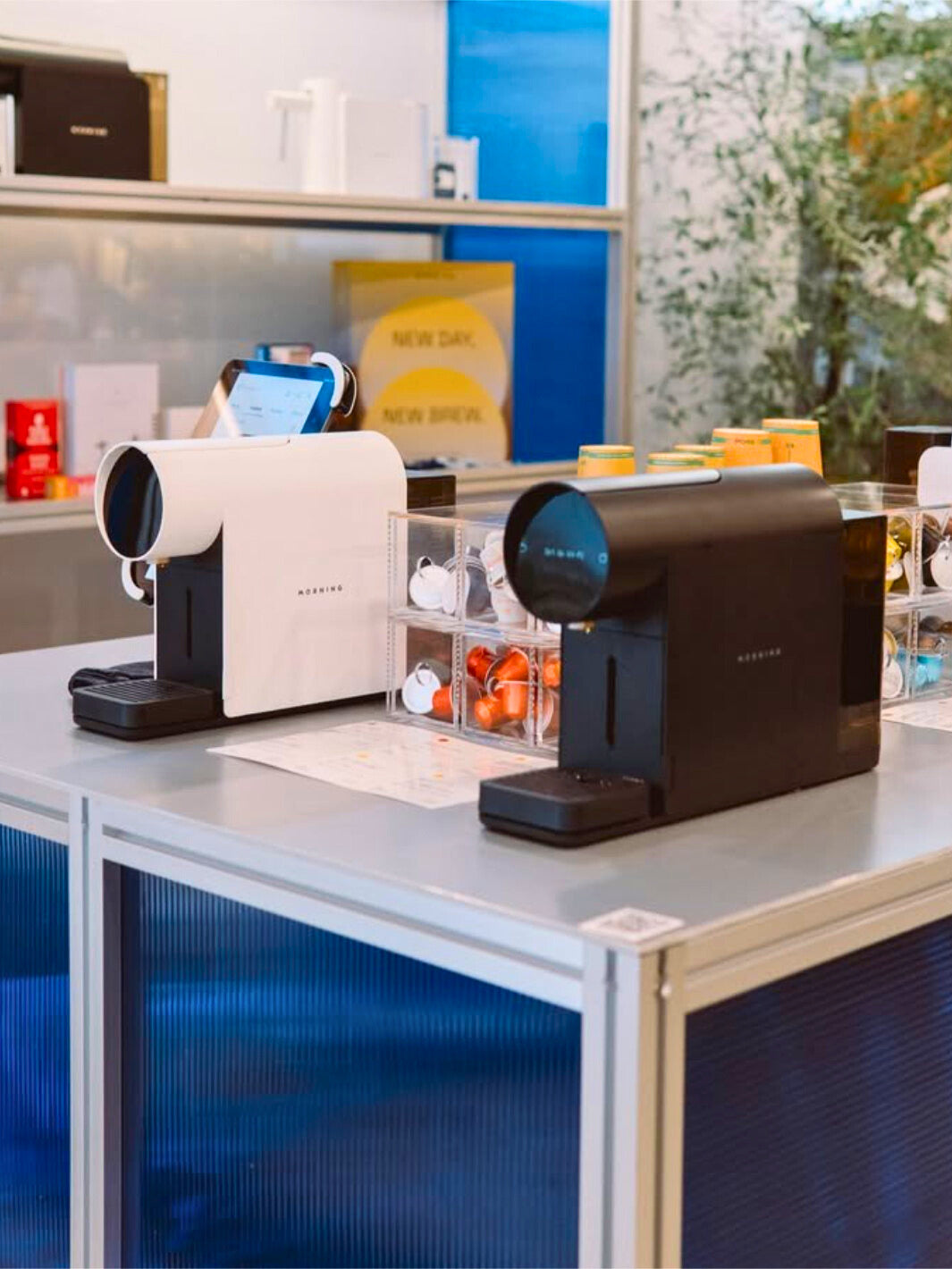 MORNING The Morning Mini (120V)